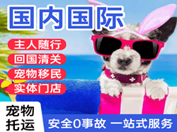 揭阳机场货运国际宠物托运 【国